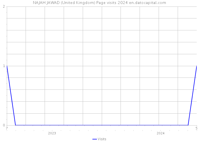 NAJAH JAWAD (United Kingdom) Page visits 2024 