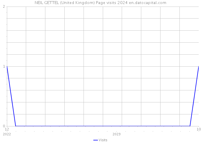 NEIL GETTEL (United Kingdom) Page visits 2024 