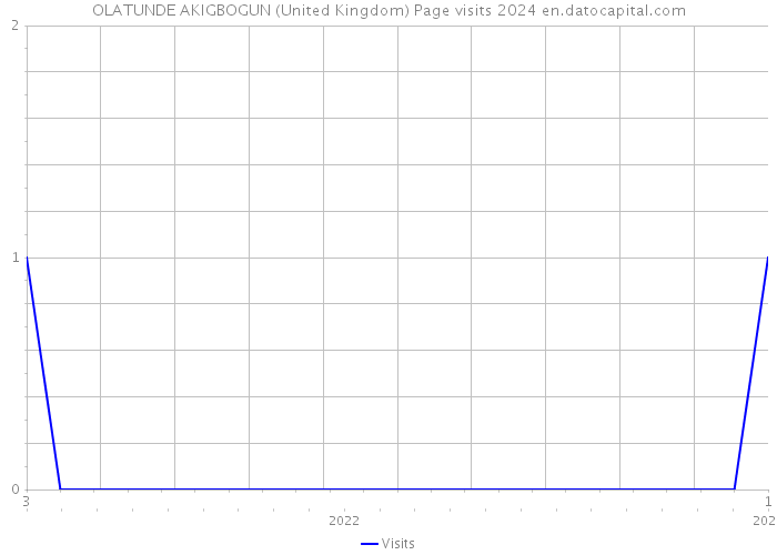 OLATUNDE AKIGBOGUN (United Kingdom) Page visits 2024 