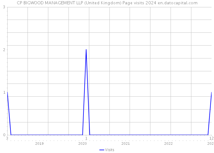 CP BIGWOOD MANAGEMENT LLP (United Kingdom) Page visits 2024 