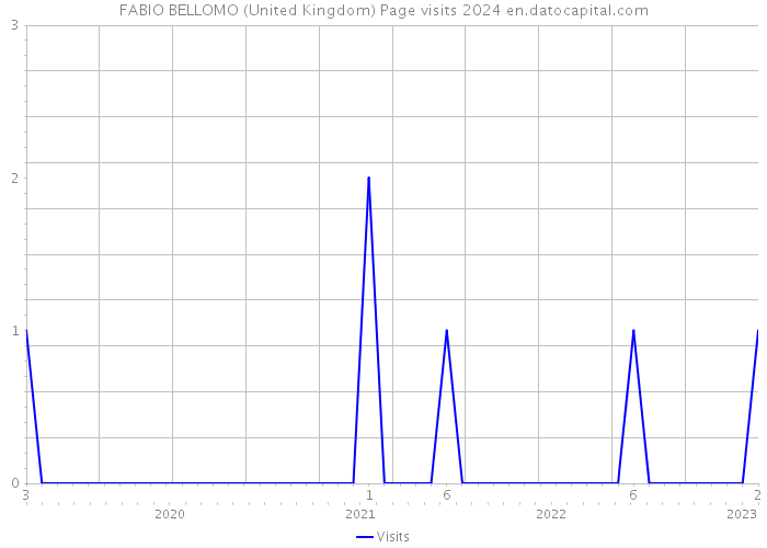FABIO BELLOMO (United Kingdom) Page visits 2024 