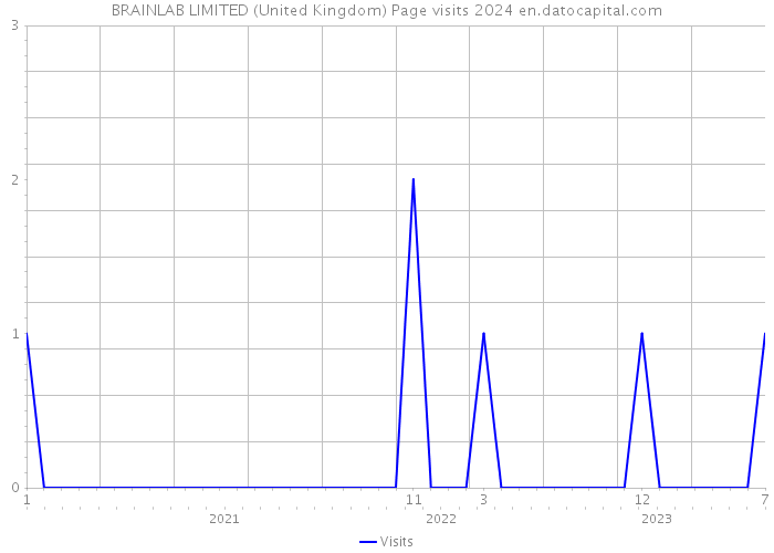 BRAINLAB LIMITED (United Kingdom) Page visits 2024 