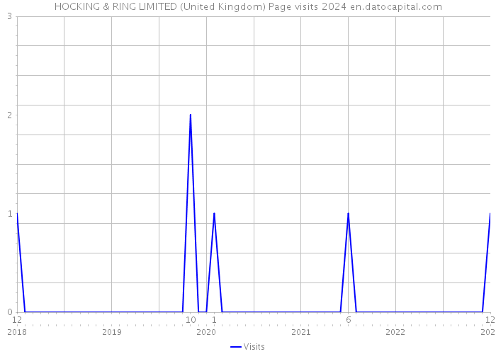 HOCKING & RING LIMITED (United Kingdom) Page visits 2024 