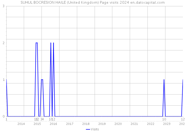 SUHUL BOCRESION HAILE (United Kingdom) Page visits 2024 