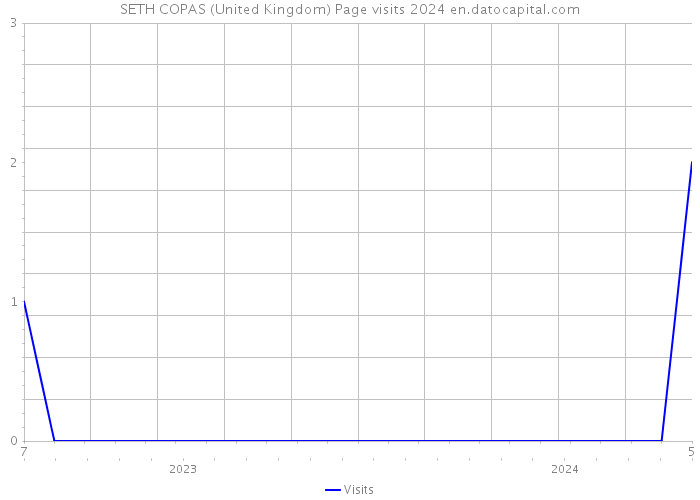 SETH COPAS (United Kingdom) Page visits 2024 