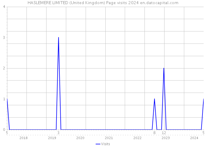 HASLEMERE LIMITED (United Kingdom) Page visits 2024 