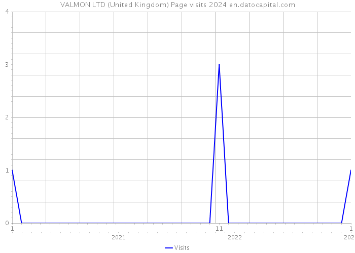 VALMON LTD (United Kingdom) Page visits 2024 