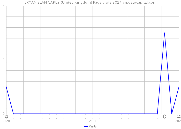 BRYAN SEAN CAREY (United Kingdom) Page visits 2024 
