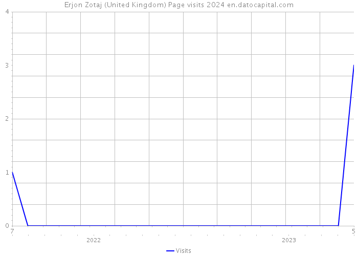 Erjon Zotaj (United Kingdom) Page visits 2024 