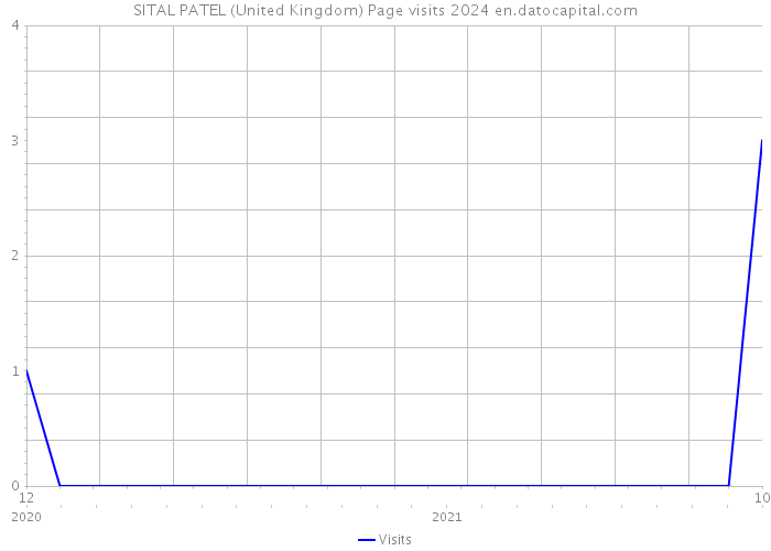 SITAL PATEL (United Kingdom) Page visits 2024 