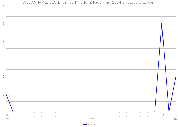 WILLIAM JAMES BLAKE (United Kingdom) Page visits 2024 