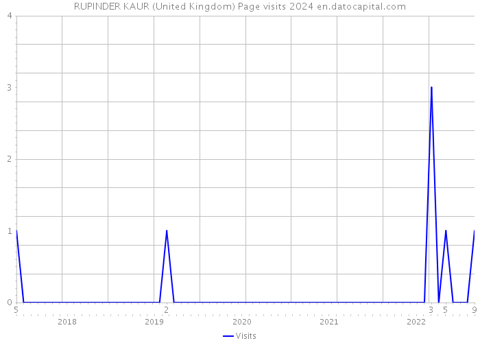 RUPINDER KAUR (United Kingdom) Page visits 2024 
