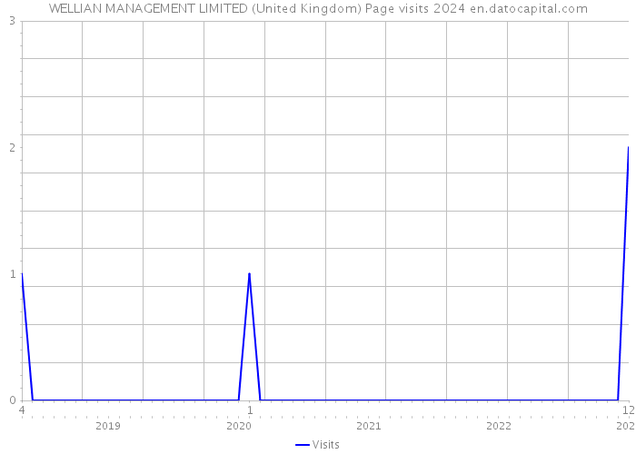 WELLIAN MANAGEMENT LIMITED (United Kingdom) Page visits 2024 