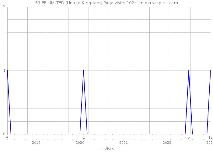 BRIEF LIMITED (United Kingdom) Page visits 2024 