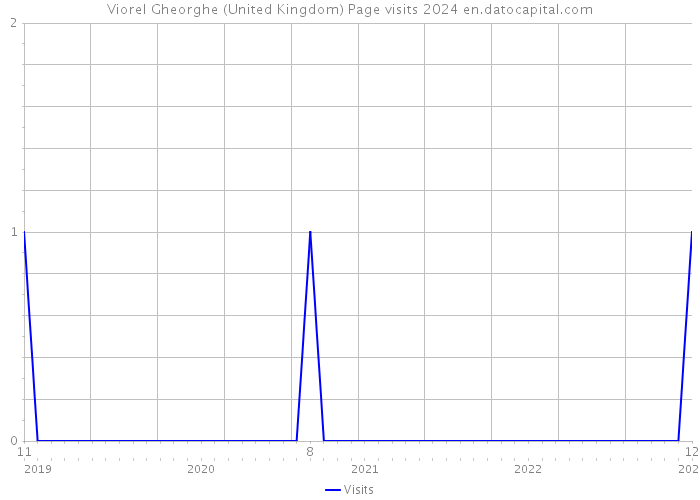 Viorel Gheorghe (United Kingdom) Page visits 2024 