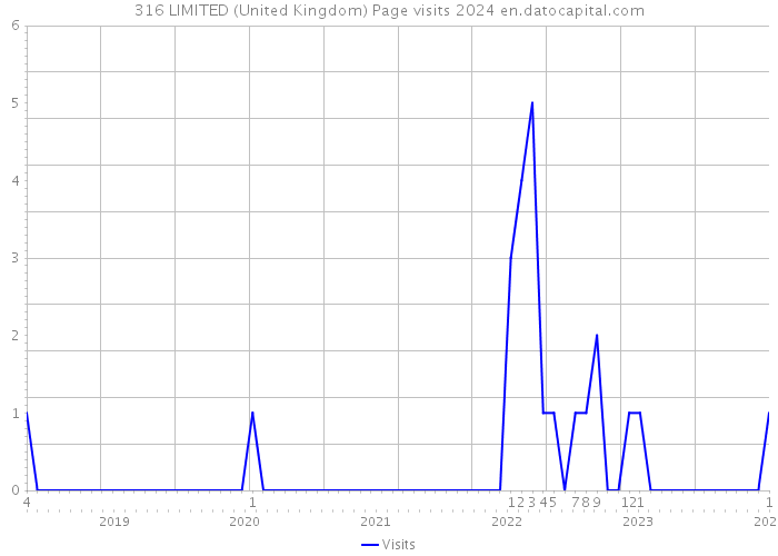316 LIMITED (United Kingdom) Page visits 2024 