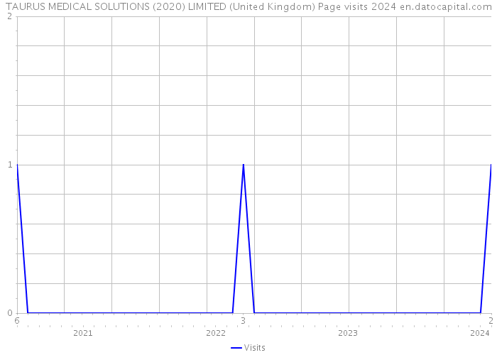 TAURUS MEDICAL SOLUTIONS (2020) LIMITED (United Kingdom) Page visits 2024 