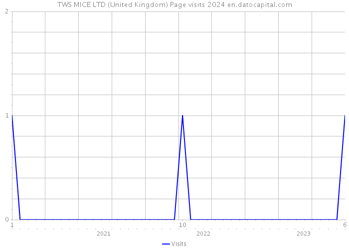 TWS MICE LTD (United Kingdom) Page visits 2024 