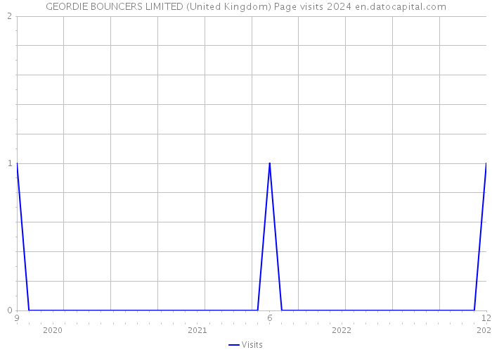 GEORDIE BOUNCERS LIMITED (United Kingdom) Page visits 2024 