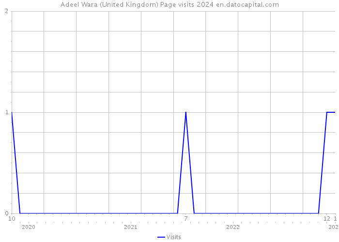 Adeel Wara (United Kingdom) Page visits 2024 