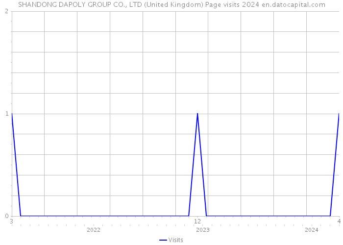 SHANDONG DAPOLY GROUP CO., LTD (United Kingdom) Page visits 2024 