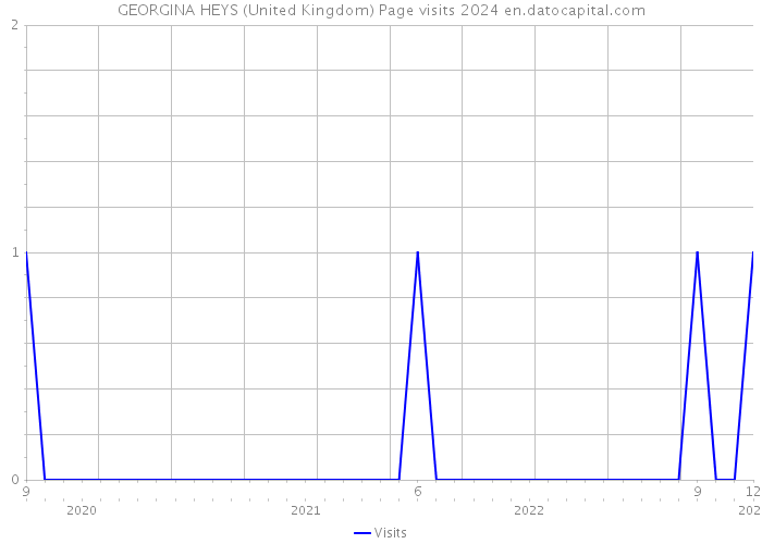 GEORGINA HEYS (United Kingdom) Page visits 2024 