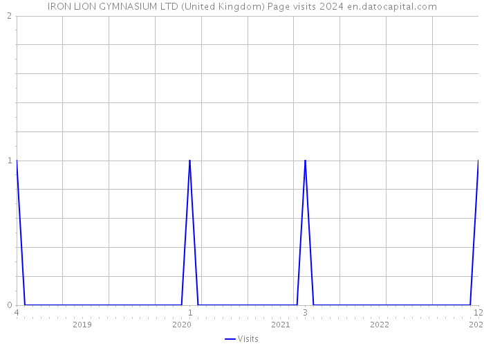 IRON LION GYMNASIUM LTD (United Kingdom) Page visits 2024 