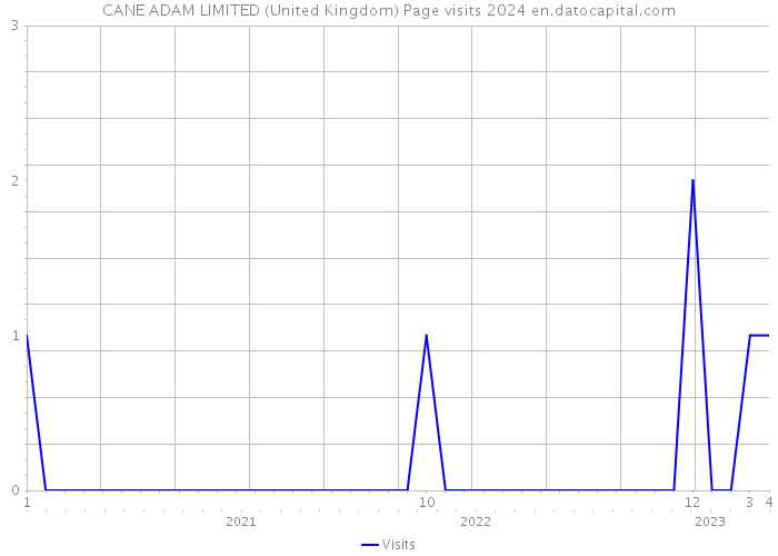 CANE ADAM LIMITED (United Kingdom) Page visits 2024 