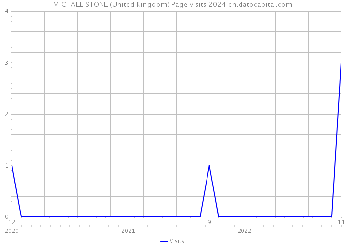 MICHAEL STONE (United Kingdom) Page visits 2024 
