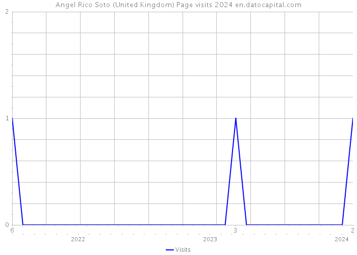 Angel Rico Soto (United Kingdom) Page visits 2024 