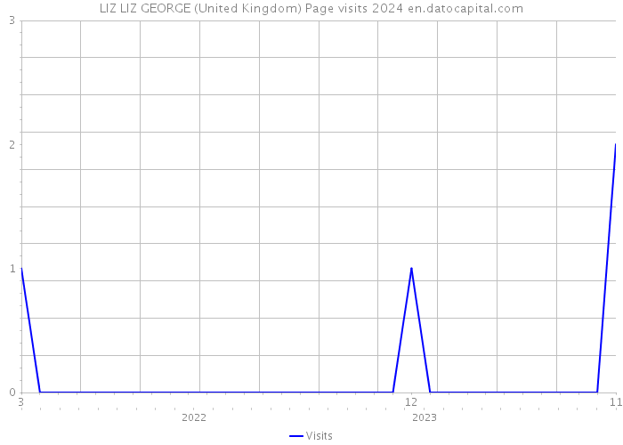 LIZ LIZ GEORGE (United Kingdom) Page visits 2024 