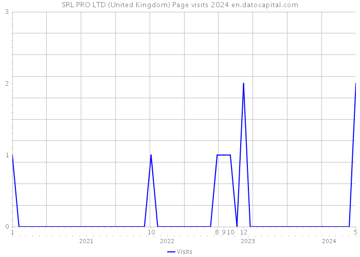 SRL PRO LTD (United Kingdom) Page visits 2024 