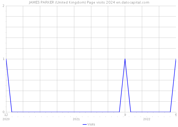 JAMES PARKER (United Kingdom) Page visits 2024 