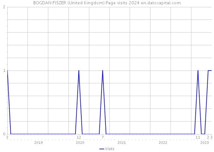 BOGDAN FISZER (United Kingdom) Page visits 2024 
