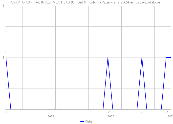 CRYPTO CAPITAL INVESTMENT LTD (United Kingdom) Page visits 2024 