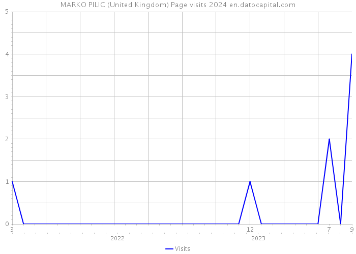 MARKO PILIC (United Kingdom) Page visits 2024 