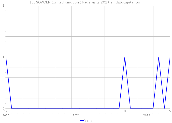 JILL SOWDEN (United Kingdom) Page visits 2024 