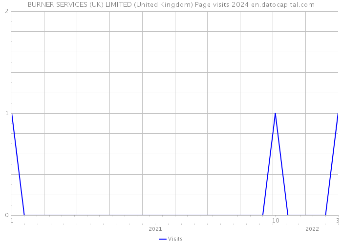 BURNER SERVICES (UK) LIMITED (United Kingdom) Page visits 2024 