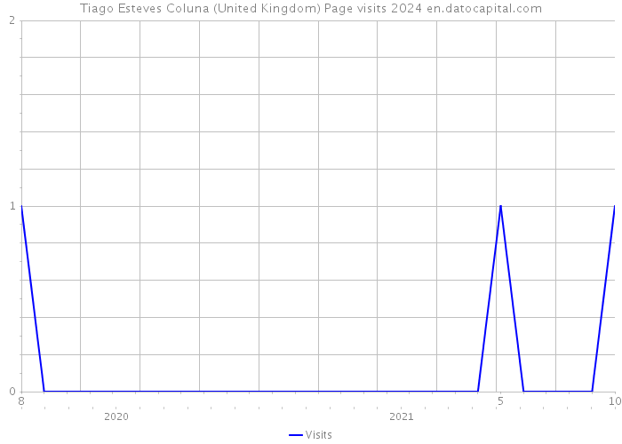Tiago Esteves Coluna (United Kingdom) Page visits 2024 