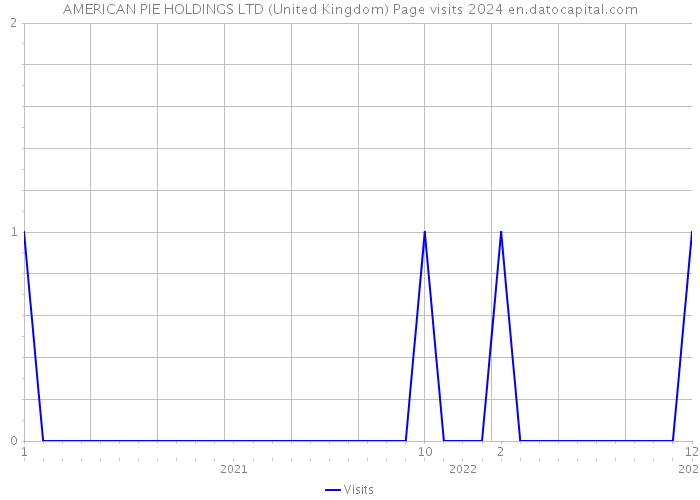 AMERICAN PIE HOLDINGS LTD (United Kingdom) Page visits 2024 