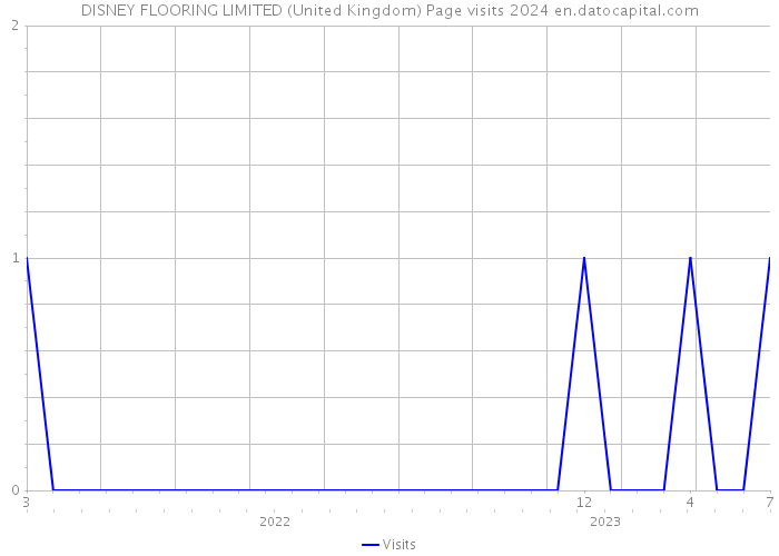 DISNEY FLOORING LIMITED (United Kingdom) Page visits 2024 