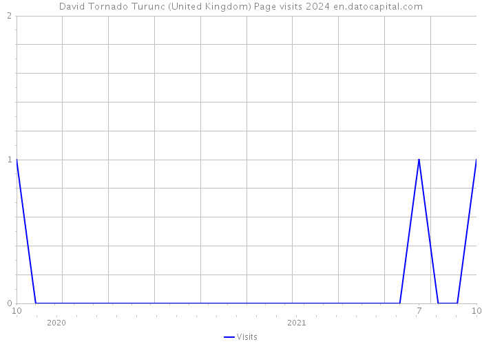 David Tornado Turunc (United Kingdom) Page visits 2024 