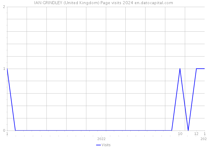 IAN GRINDLEY (United Kingdom) Page visits 2024 