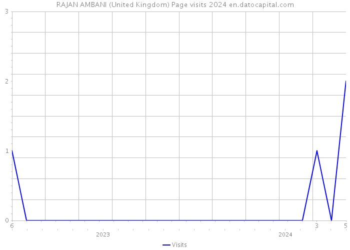RAJAN AMBANI (United Kingdom) Page visits 2024 