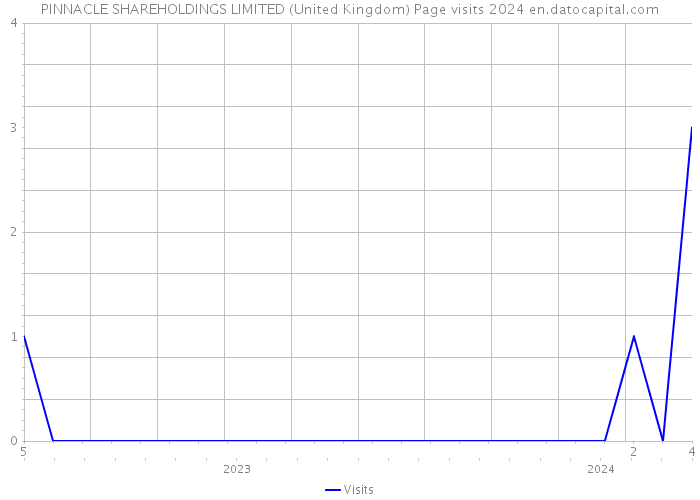 PINNACLE SHAREHOLDINGS LIMITED (United Kingdom) Page visits 2024 