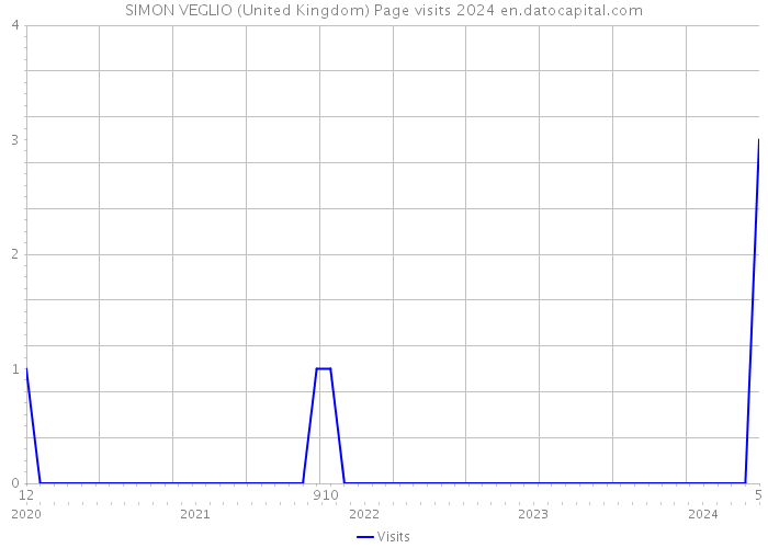 SIMON VEGLIO (United Kingdom) Page visits 2024 