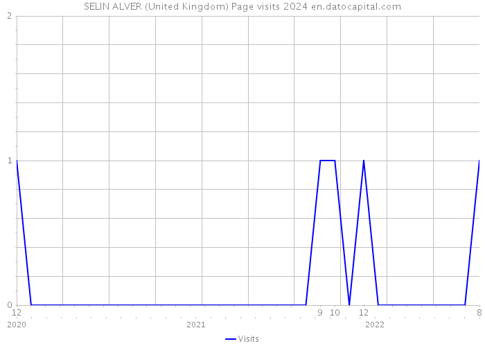 SELIN ALVER (United Kingdom) Page visits 2024 