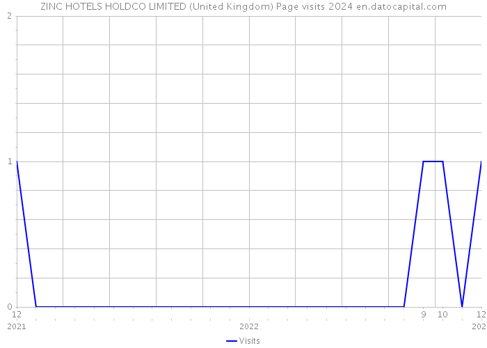 ZINC HOTELS HOLDCO LIMITED (United Kingdom) Page visits 2024 