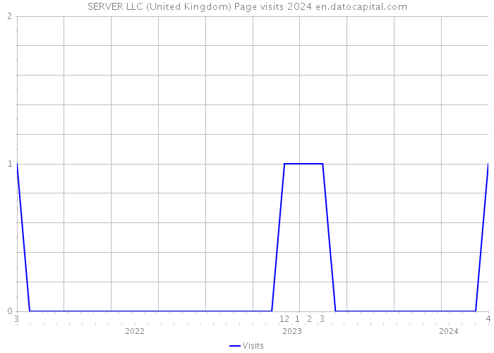 SERVER LLC (United Kingdom) Page visits 2024 