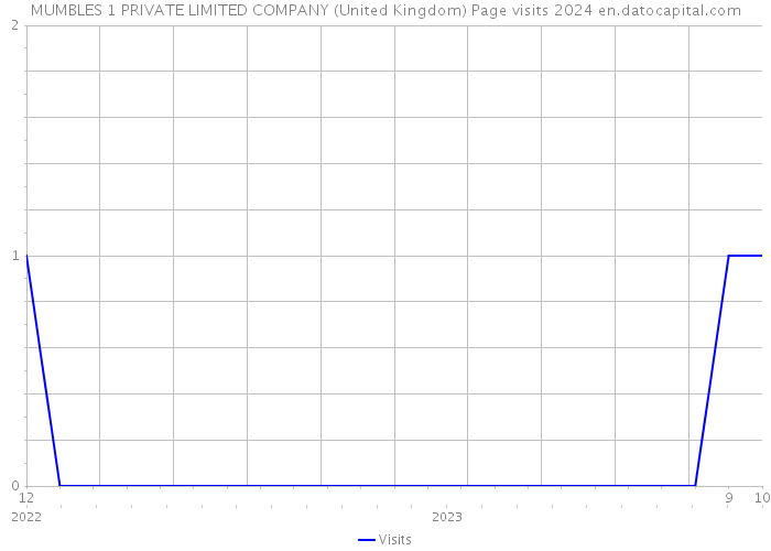 MUMBLES 1 PRIVATE LIMITED COMPANY (United Kingdom) Page visits 2024 